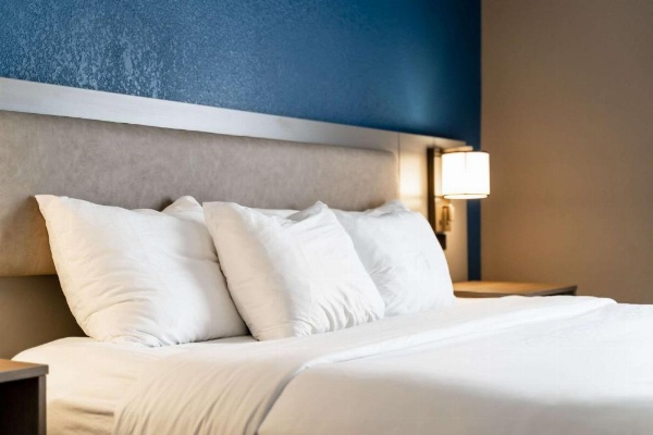 Comfort Suites Columbia Northeast - Fort Jackson image 20